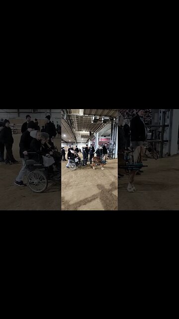 Super Cute Amish Girls and Pony