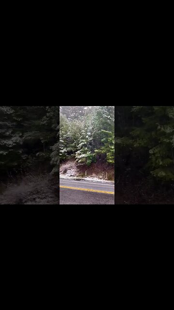 A peaceful video from alongside Hwy 35 in the Santa Cruz Mountains