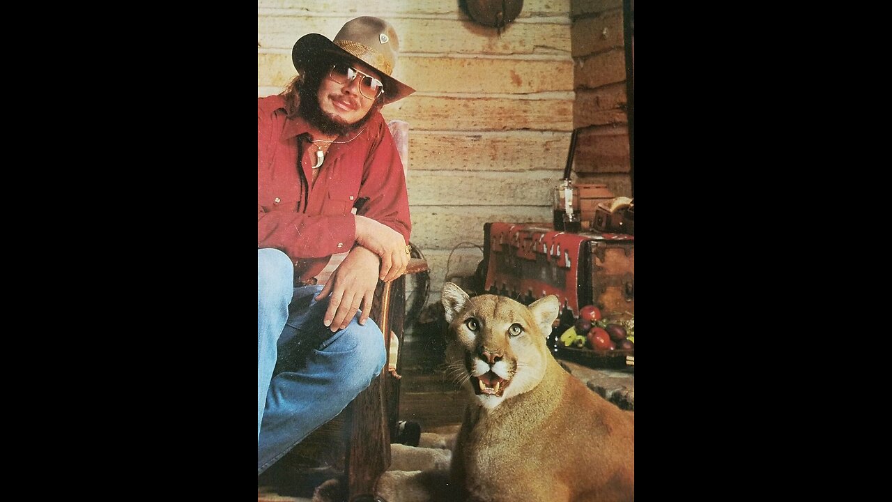 Country Boy Can Survive -- Hank Williams Jr.