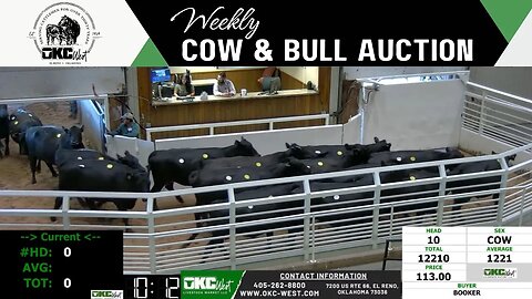 7/17/2023 - OKC West Weekly Cow & Bull Auction