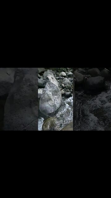 Hiking in the River Mountain #nasio #hiking #river #mountain #shorts