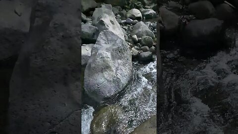 Hiking in the River Mountain #nasio #hiking #river #mountain #shorts
