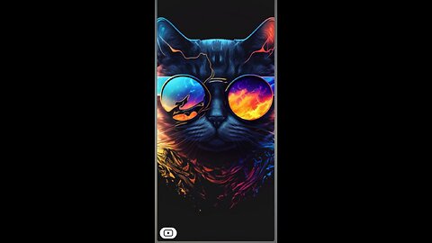 Crazy cat😂😂😂😂