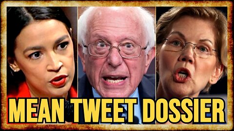 Warren Sent Bernie Bro MEAN TWEET Collection to AOC in 2020 Primary