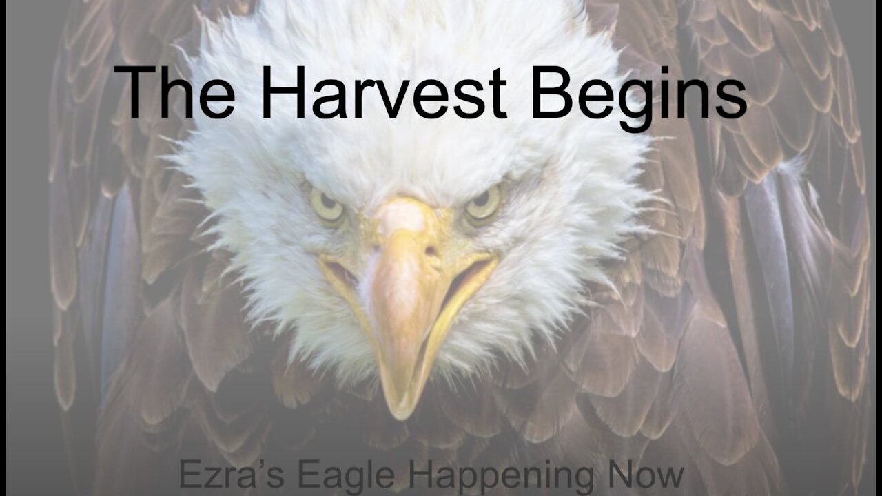 The Coming Harvest of America