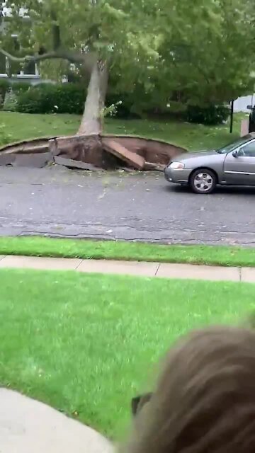 Footage captures the moment Hurricane Isaias knocks over tree in Long Island