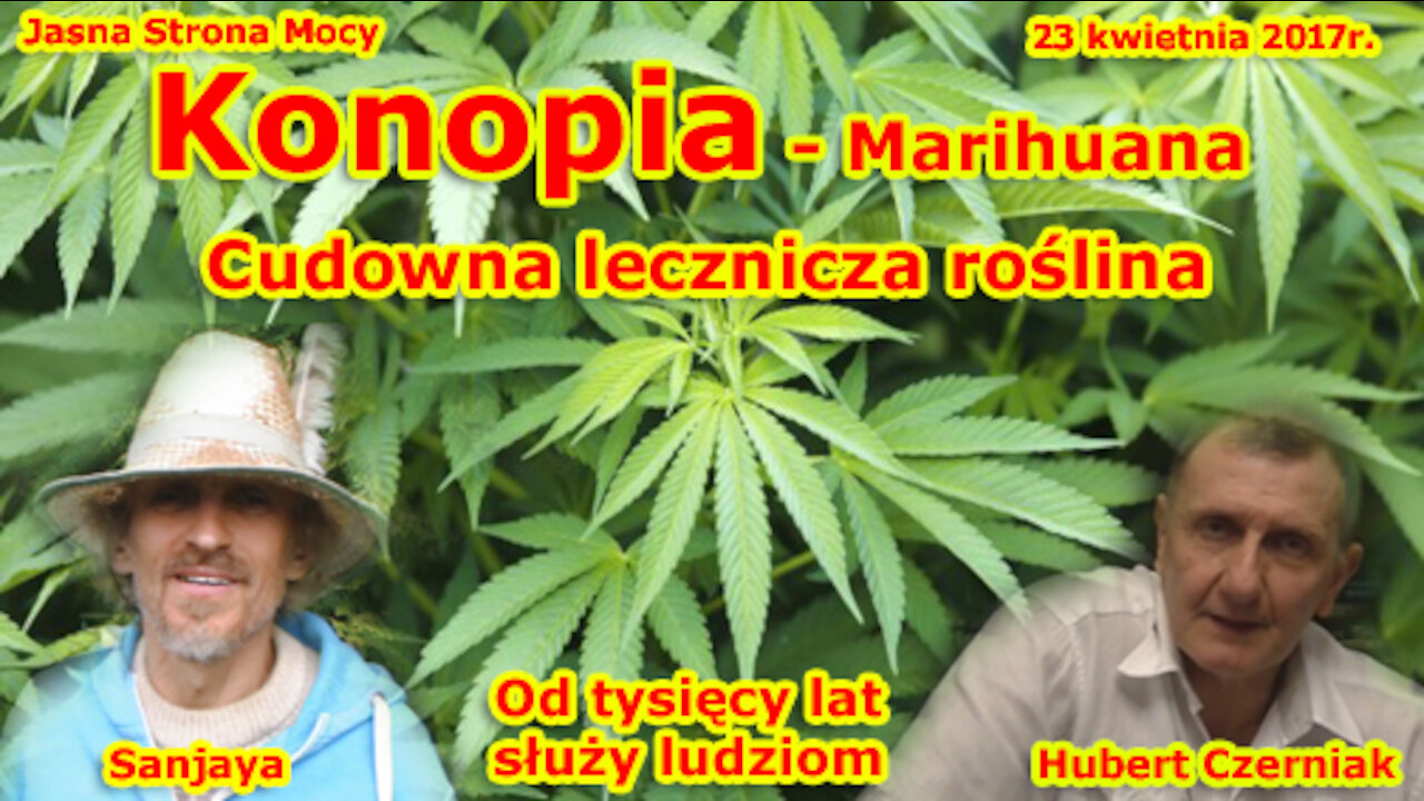 Konopia - Marihuana Cudowna lecznicza roślina znana od tysięcy lat