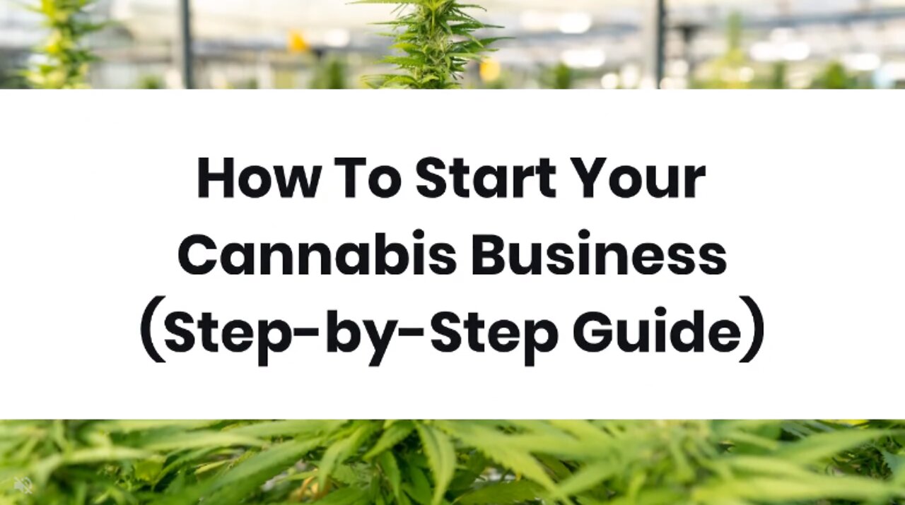 How To Start Your Cannabis Business (Step-by-Step Guide)