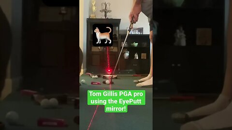 PGA Pro Tom Gillis using Eyeputt Mirror with a cat! #tomgillisgolf #pgachampionship #golf