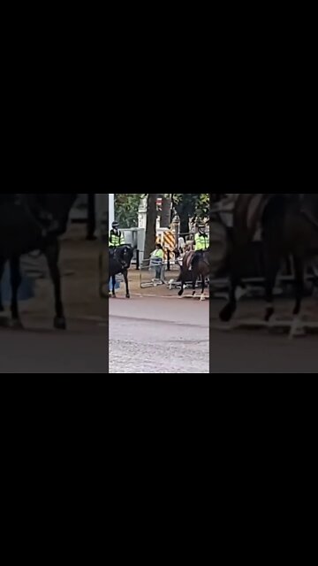 The kings Guards marching back to Clarence house #buckinghampalace