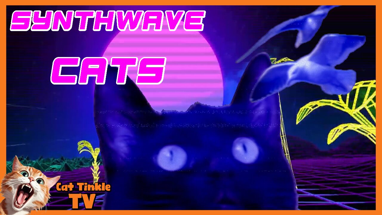 Synthwave Cats Music Video- Feline Dreams '80s Retro' | Cat Tinkle TV