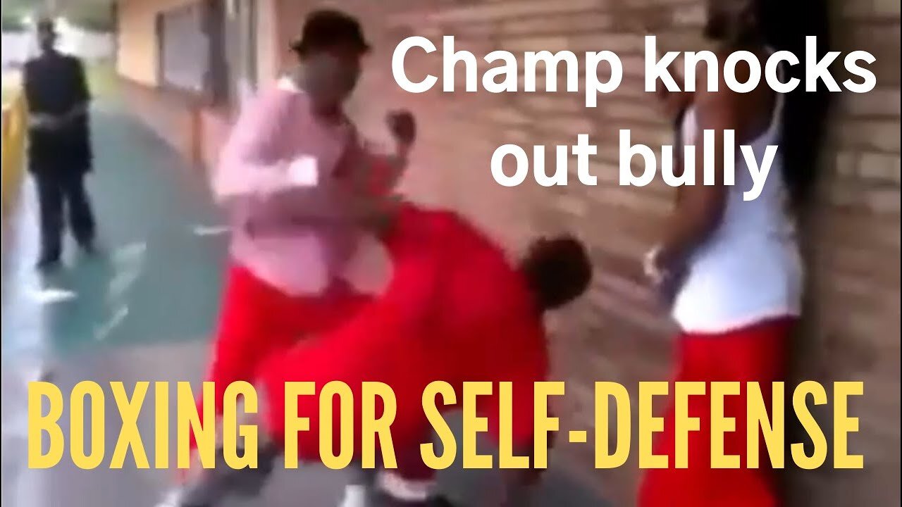 BOXING for SELF DEFENSE: Boxing champ KNOCKS OUT bully