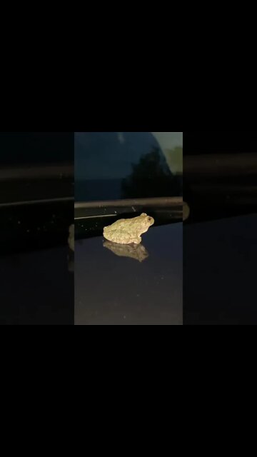 How Did You Do That?