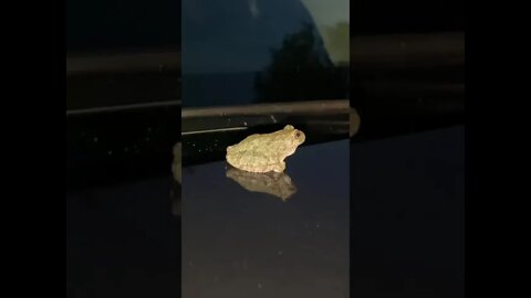 How Did You Do That?