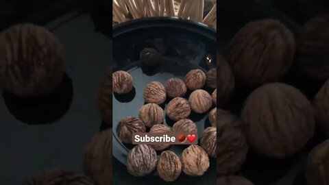 Edible NUTS Found RIGHT in your backyard ! 🌰❤️👍 #shorts #viral #tiktok #trending