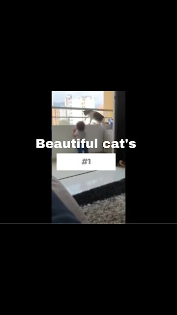Watch this cat is keen on the safety of the child😱