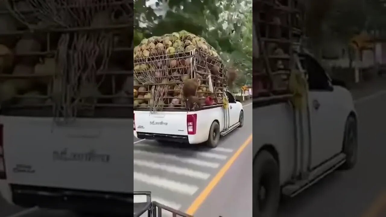Cargo Security