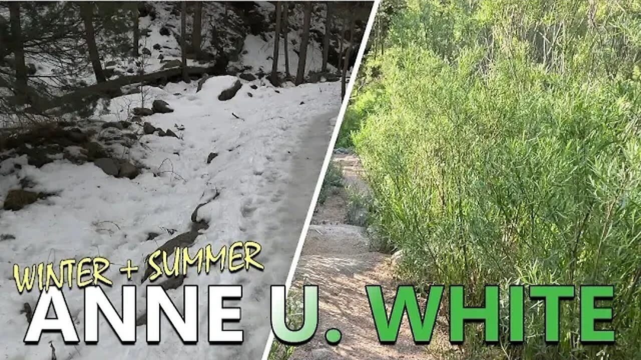 Anne U. White Trail [Summer/Winter Hike] - Boulder County