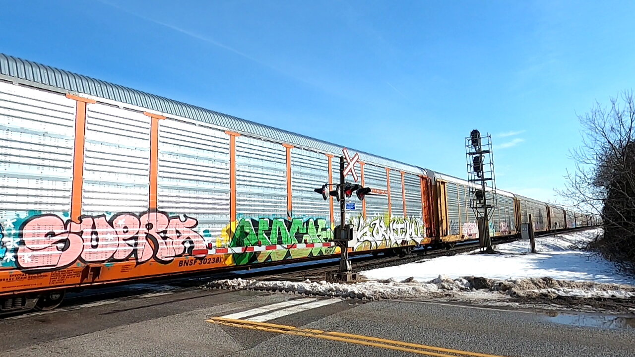 CN 8819 & CN 2956 Engines Autoracks Train West In Ontario