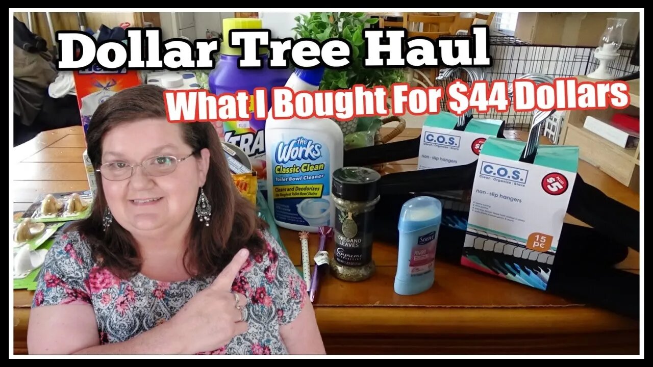 Dollar Tree Haul | Dollar Tree Plus | What I Got For $44 Dollars!