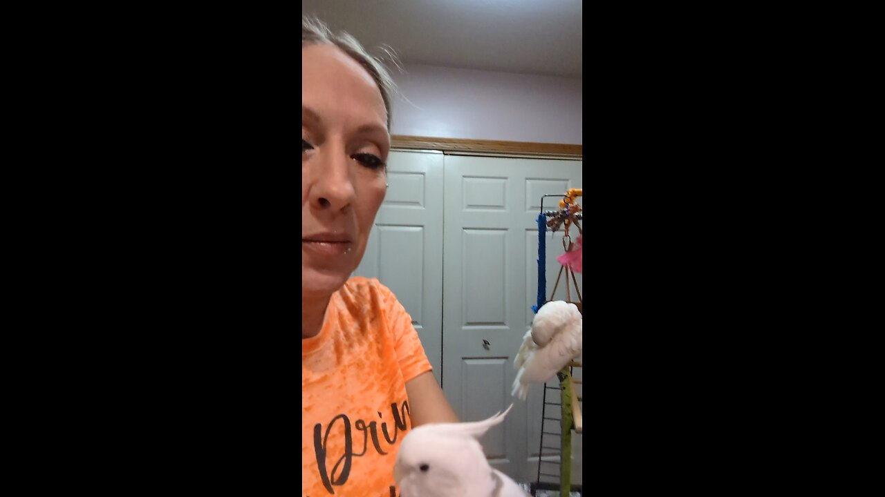 Lord Luka Wants Pets