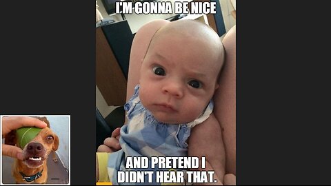 Memes That Will 99.893% Make You Laugh. (e118)