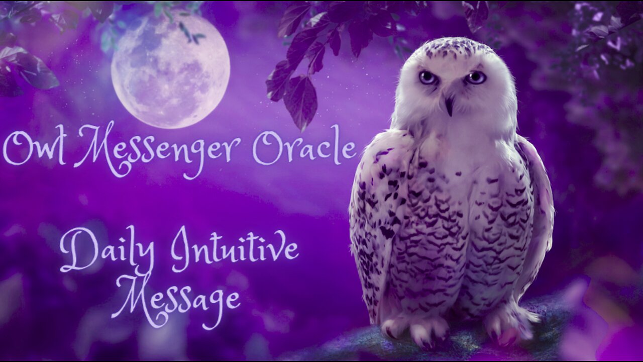 Owl Messenger Oracle ~Daily Intuitive Message