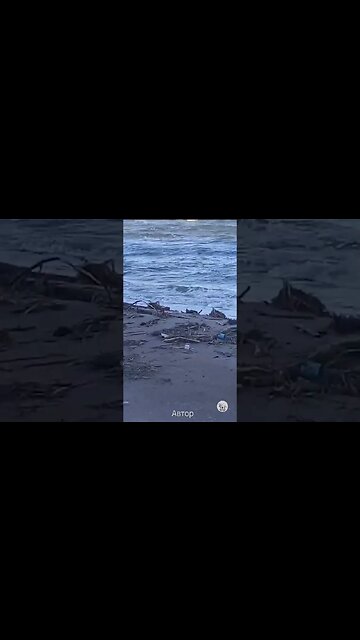 Берег Чорного моря. Черноморск #shorts