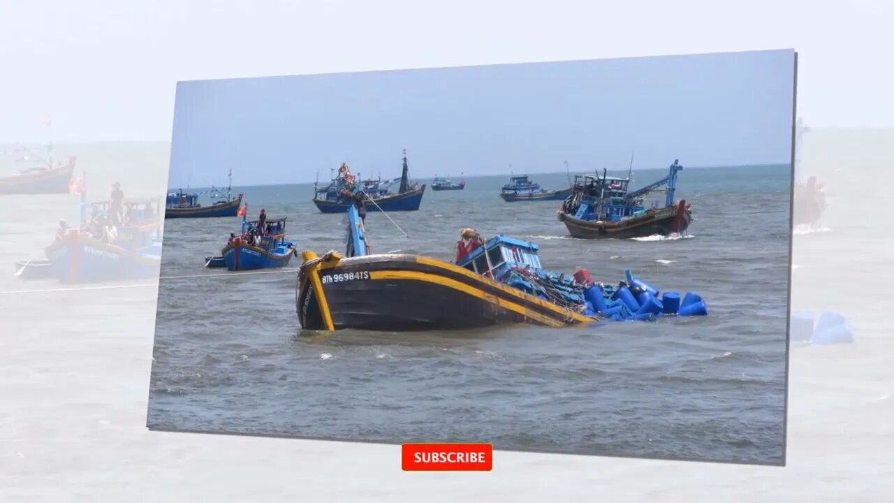 "Tại Sao Vấn Đề Nhỏ" Lại Xảy Ra Trong Ngành Y ? Ngư Dân Kêu Cứu !