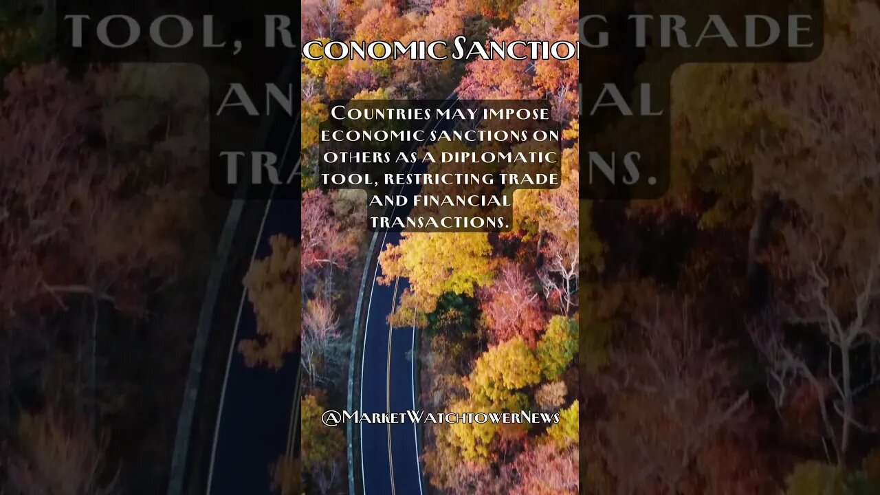 Economic Sanctions: The Economics and Politics of Trade Restrictions Fact #17 #shorts