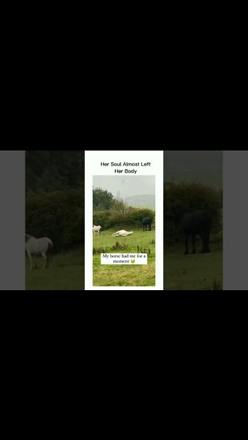 She Thought Her Horse Is Dead