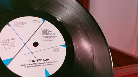 Jon Secada ~ Just Another Day (Instrumental) ~ 12" Vinyl SBK Single 1992 ~ Dual 1215 P77 Cart