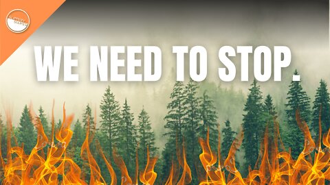 Why do conservation efforts fail?