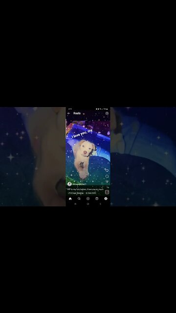 I LOVE YOU.. AND MISS YOU. COMMENT BELOW THE LOVE OF MISSED FURY CHILDREN.