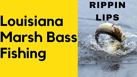 BASS Fishing in the Marsh!! Louisiana MARSH Bass Fishing, Rippin Lips