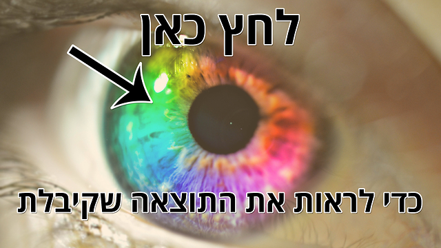 מבחן הכוח הנסתר - נאמנות