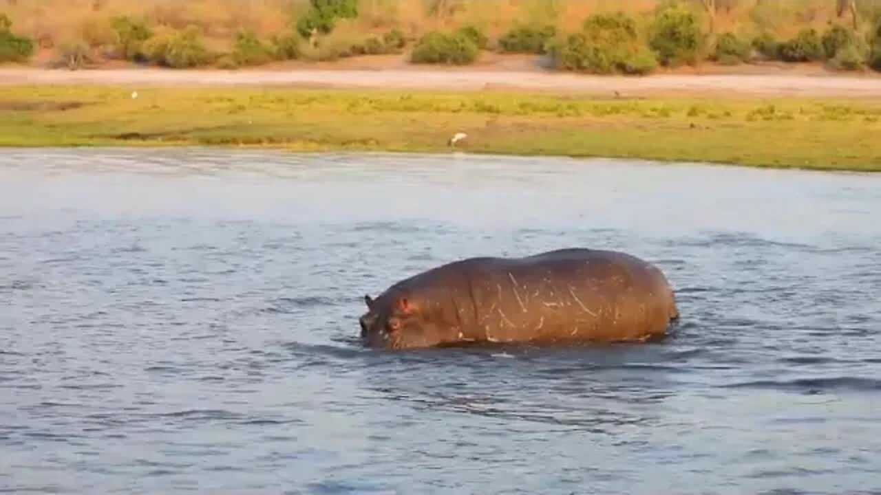 BOTSWANA TRAVEL DOCUMENTARY 4x4 Safari Road Trip feat