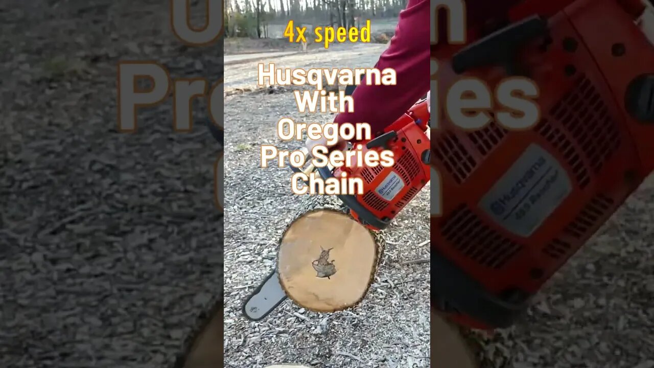 Which Chainsaw is Faster? #shorts #chainsaw #echo #husqvarna