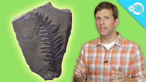 BrainStuff: How Carbon Dating Works