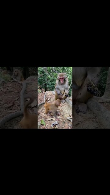 Most Amazing and trending video||relaxing your mind||trendig videos|| #shorts #trending #viral #live