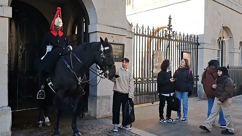 The Horse bit his hand #horseguardsparade