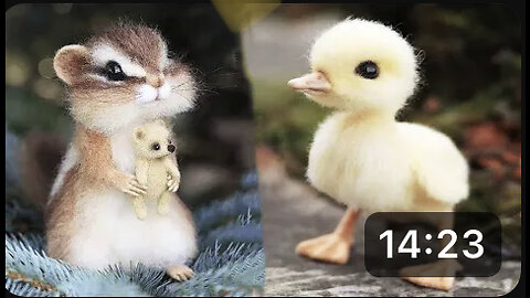 Cute baby animals Videos Compilation cute moment of the animals