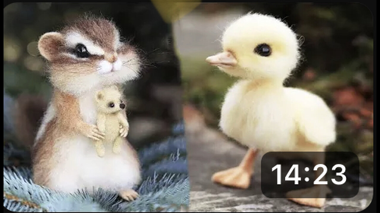 Cute baby animals Videos Compilation cute moment of the animals