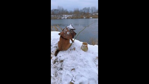 This is a dog that can fish