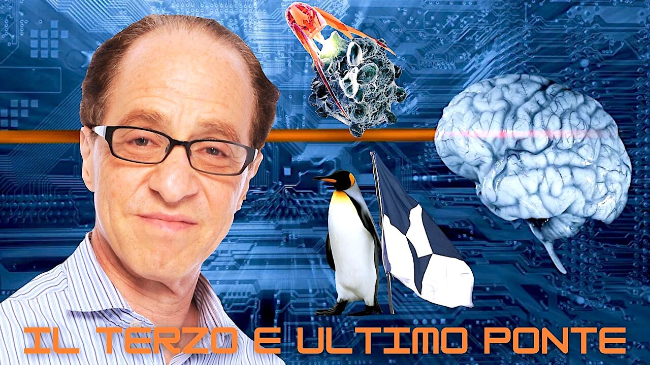 RAY KURZWEIL NEL 2010: "IL TERZO E ULTIMO PONTE SARANNO I NANOROBOT NEI VASI DEL SANGUE E NEL CERVELLO"