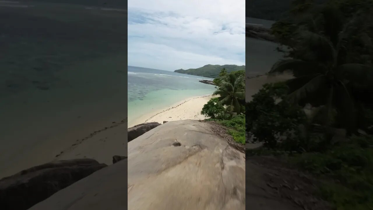 SOME FPC FROM SEYCHELLES #Shorts