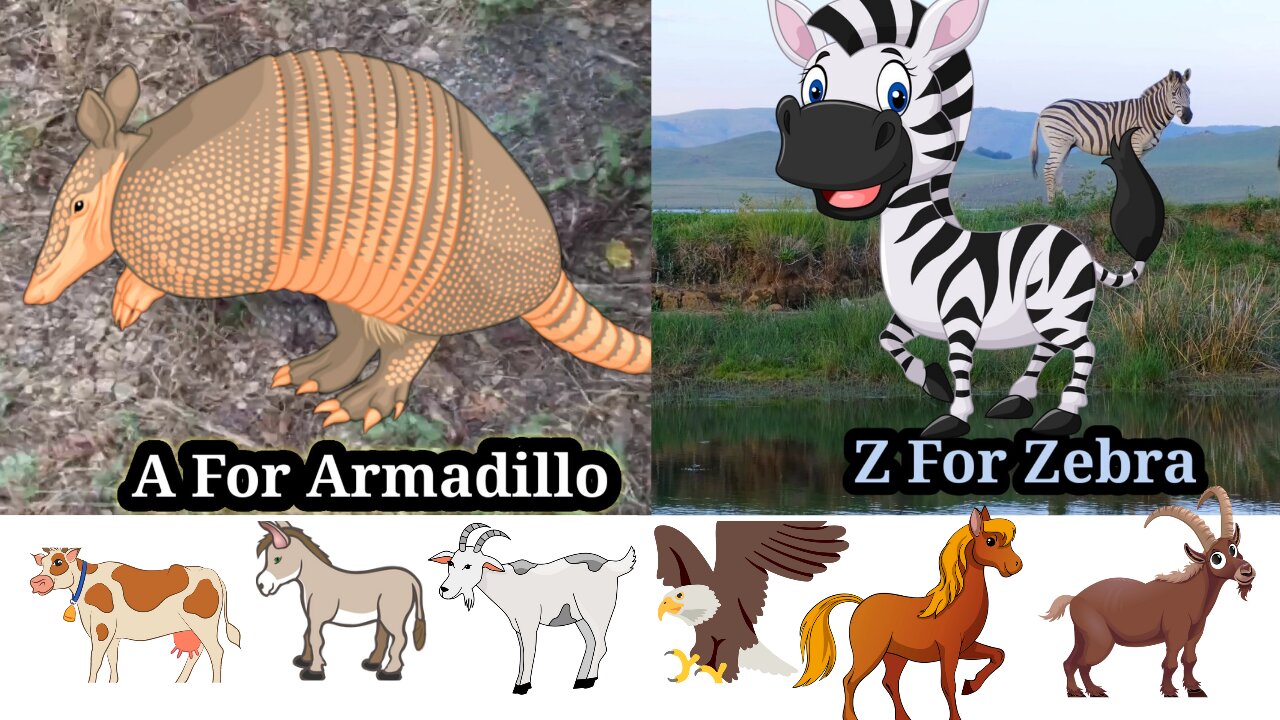 Relaxing Animals a TO z name and sound, Lion, Cow, donkey, mouse, oryx, ibex, zebra