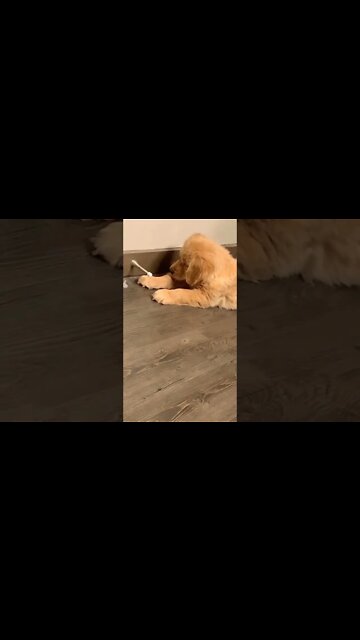 Cute adorable baby child with warm white and pink hat with cute baby girl