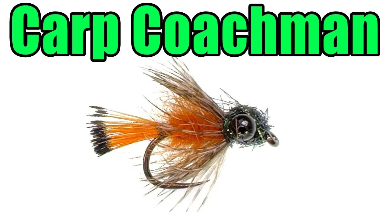 Carp Coachman Fly Tying - Great For Picky Carp in Skinny Water