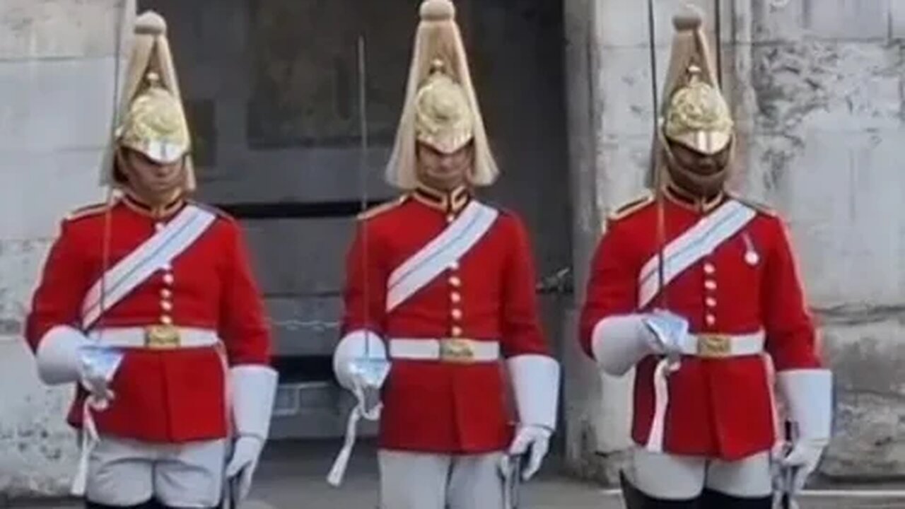 Captain has a laugh with the life guard #horseguardsparade